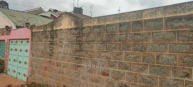 Karatina /Muthua Town - thumbnail 13