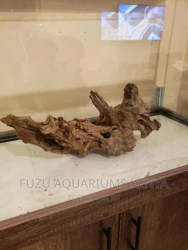Aquarium Driftwood . - main view