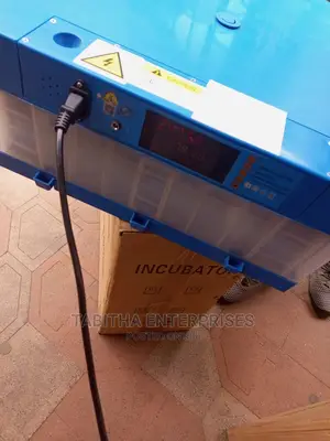 Eggs Incubator 64