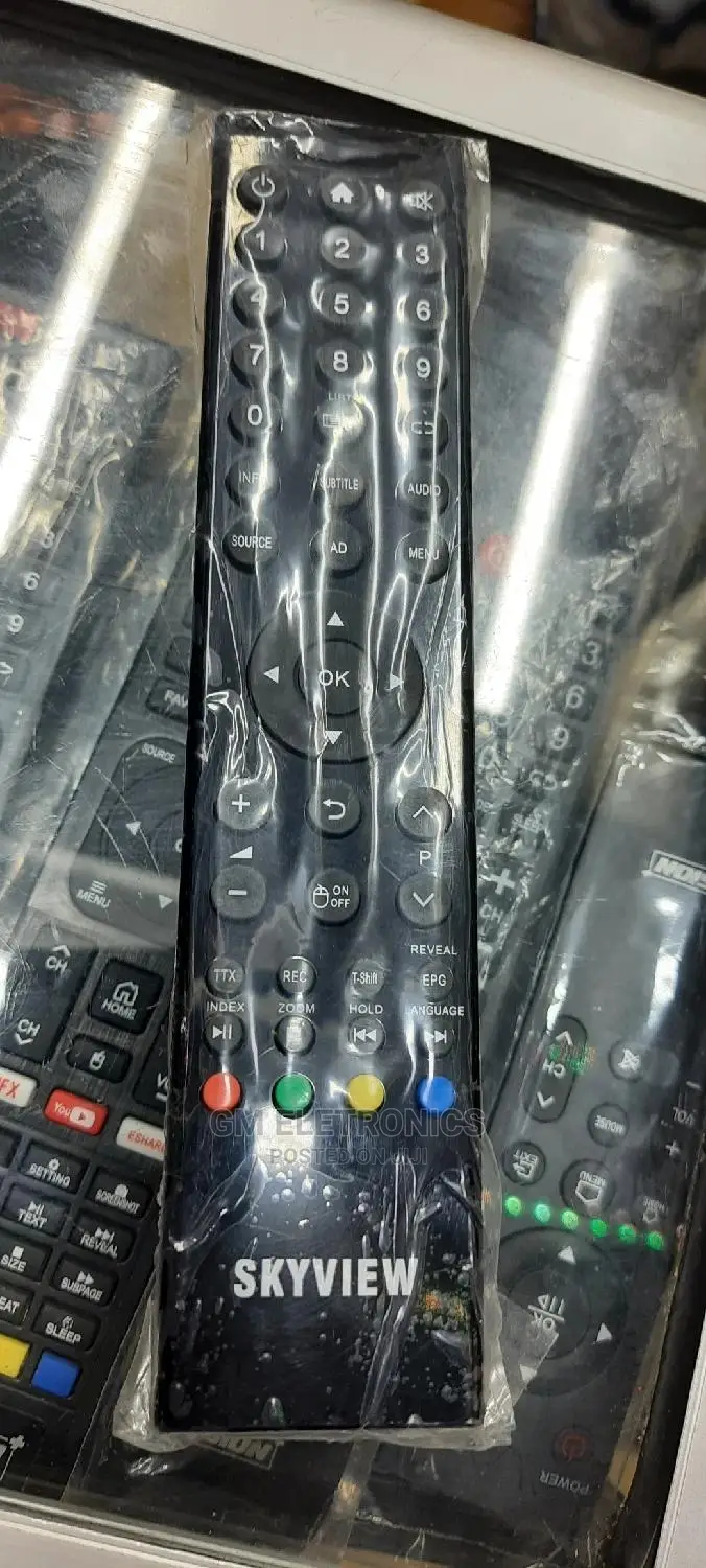 Skyview Smart Remote.