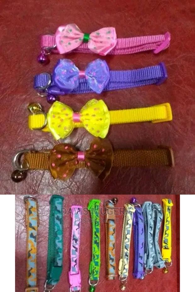 Special Bow Cat Collars Stylish Kitty Collars