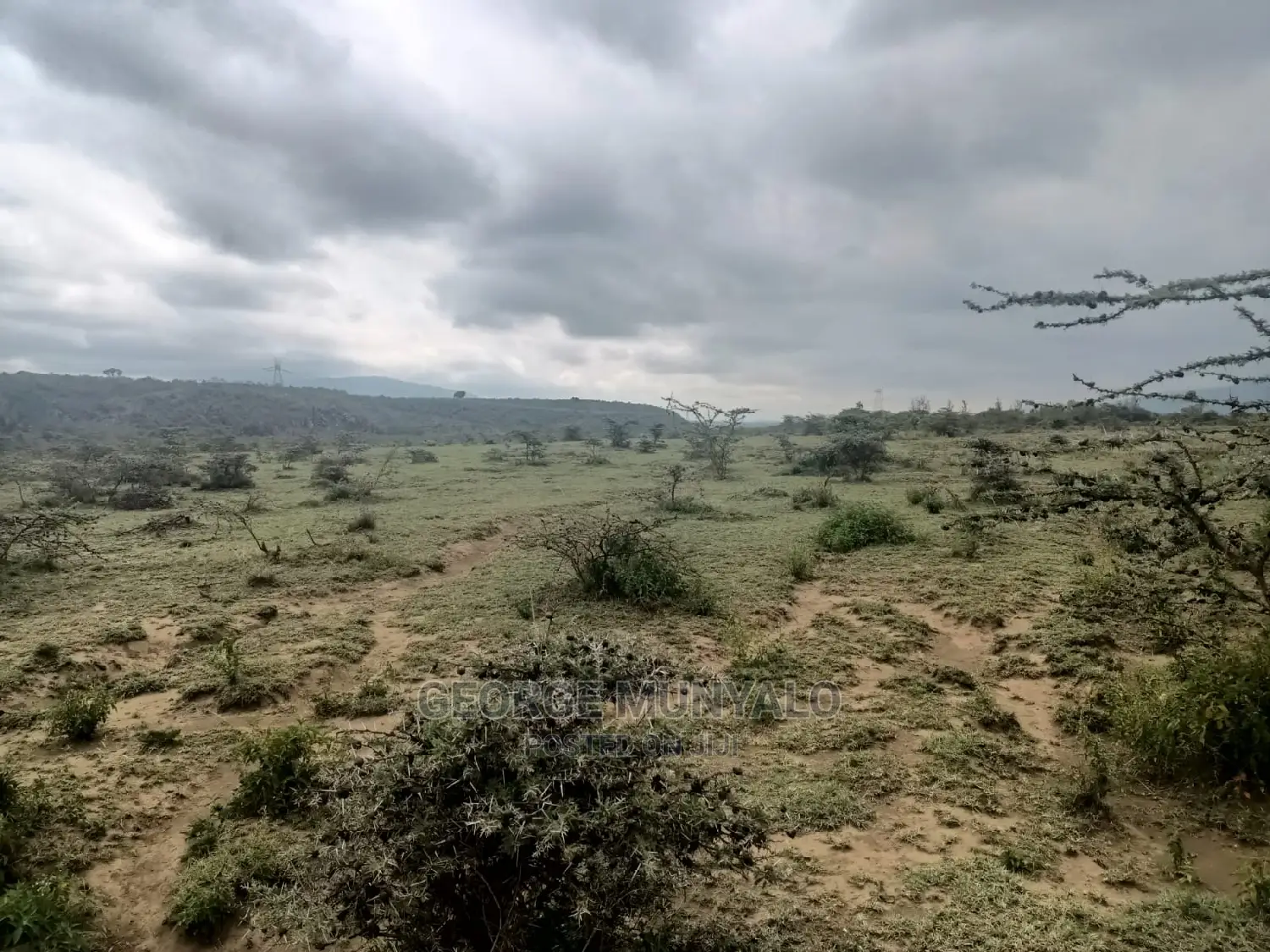5 Acres Land for Sale
