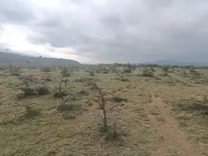 5 Acres Land for Sale