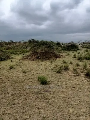 5 Acres Land for Sale