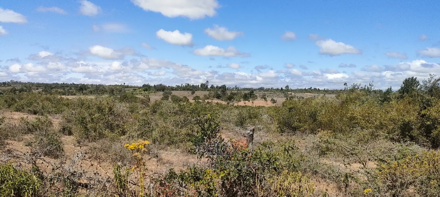 Narumoru/Giachuma 3.65 Acres