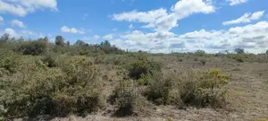 Narumoru/Giachuma 3.65 Acres