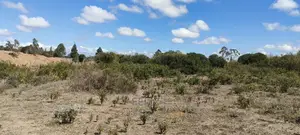 Narumoru/Giachuma 3.65 Acres