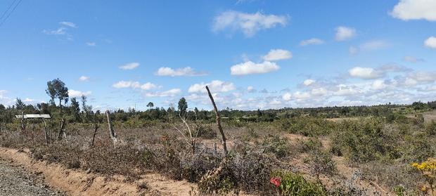 Narumoru/Giachuma 3.65 Acres - thumbnail 10