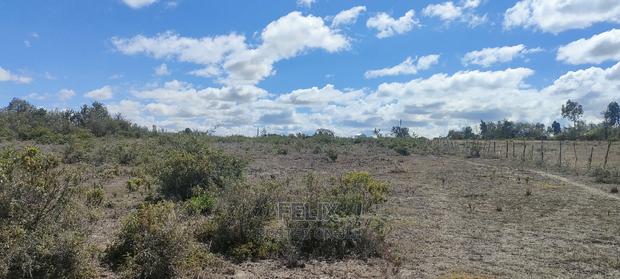 Narumoru/Giachuma 3.65 Acres - thumbnail 11