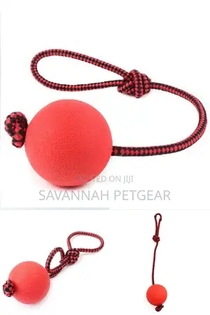 Indestructible Dog Ball N Rope Pet Puppy Tug Chew Balls Toys