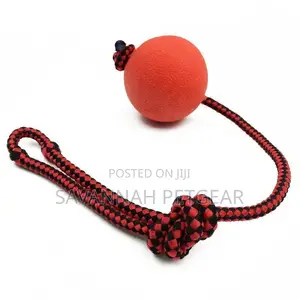 Indestructible Dog Ball N Rope Pet Puppy Tug Chew Balls Toys
