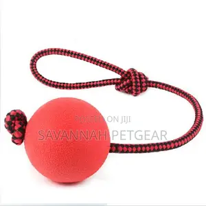 Indestructible Dog Ball N Rope Pet Puppy Tug Chew Balls Toys