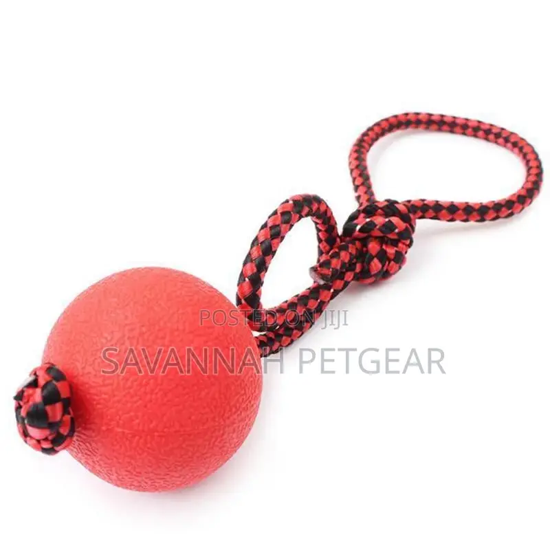 Indestructible Dog Ball N Rope Pet Puppy Tug Chew Balls Toys