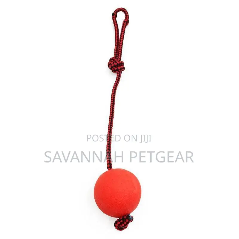 Indestructible Dog Ball N Rope Pet Puppy Tug Chew Balls Toys