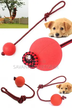 Indestructible Dog Ball N Rope Pet Puppy Tug Chew Balls Toys