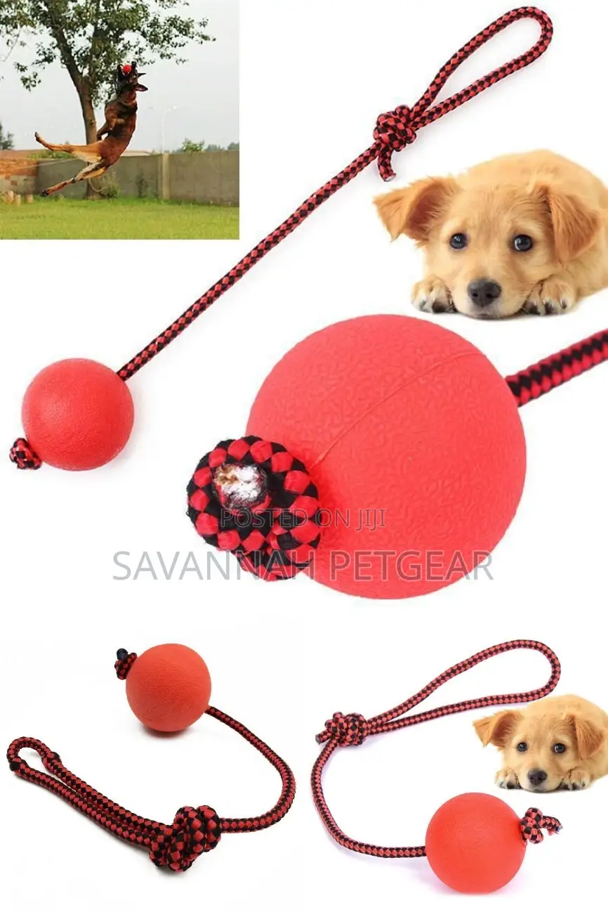 Indestructible Dog Ball N Rope Pet Puppy Tug Chew Balls Toys