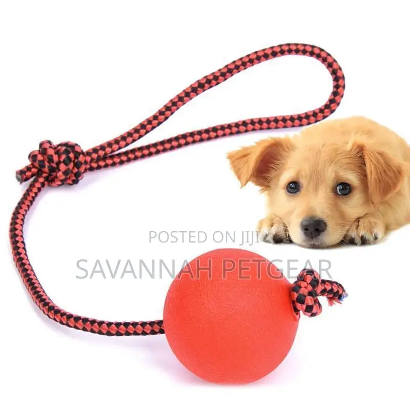 Indestructible Dog Ball N Rope Pet Puppy Tug Chew Balls Toys