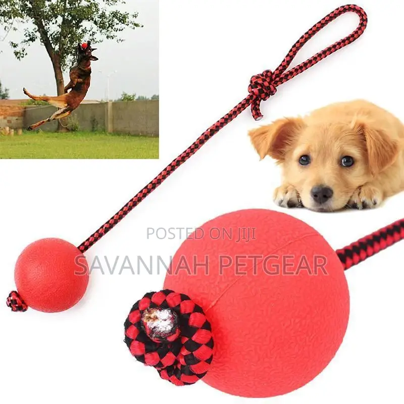 Indestructible Dog Ball N Rope Pet Puppy Tug Chew Balls Toys