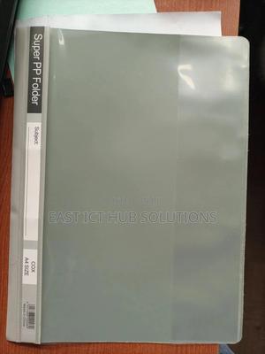 Project Files and Manila Files Available - main view