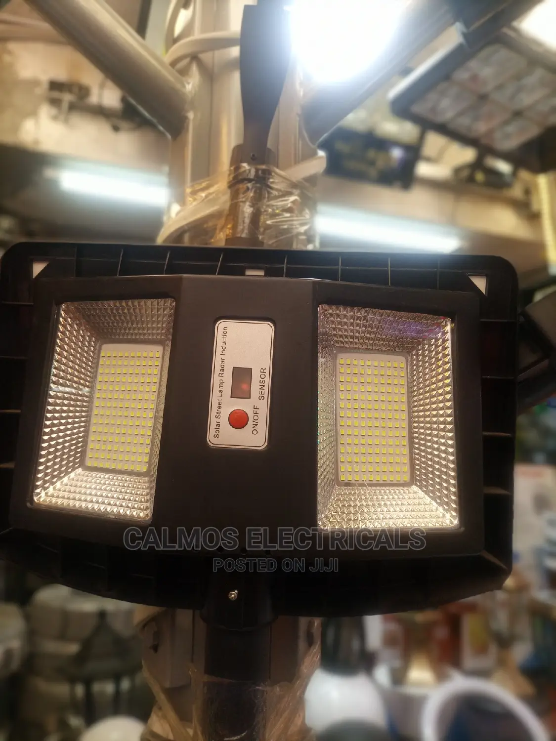 Solar Induction Lamps