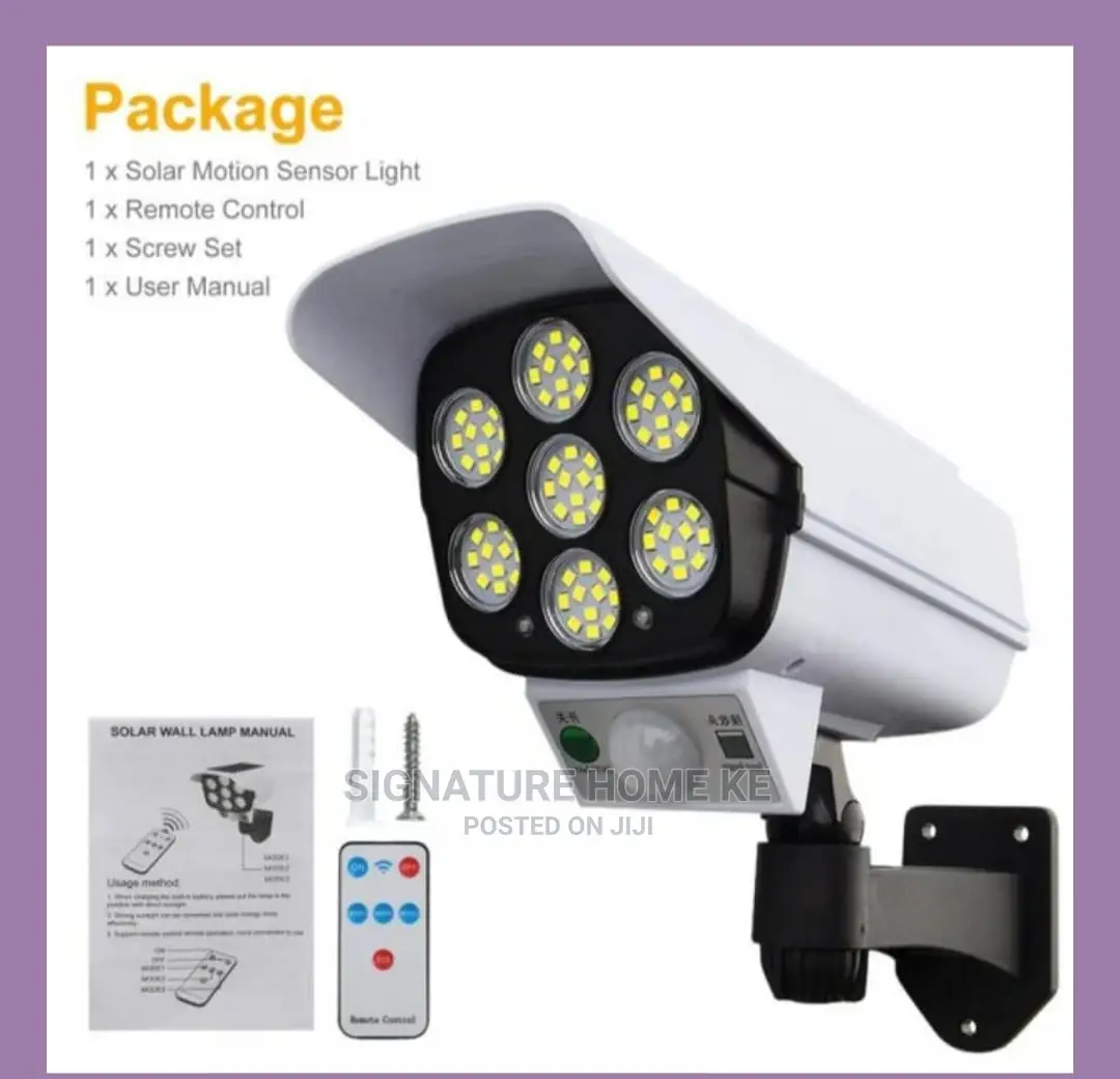 Solar Motion Sensor Light