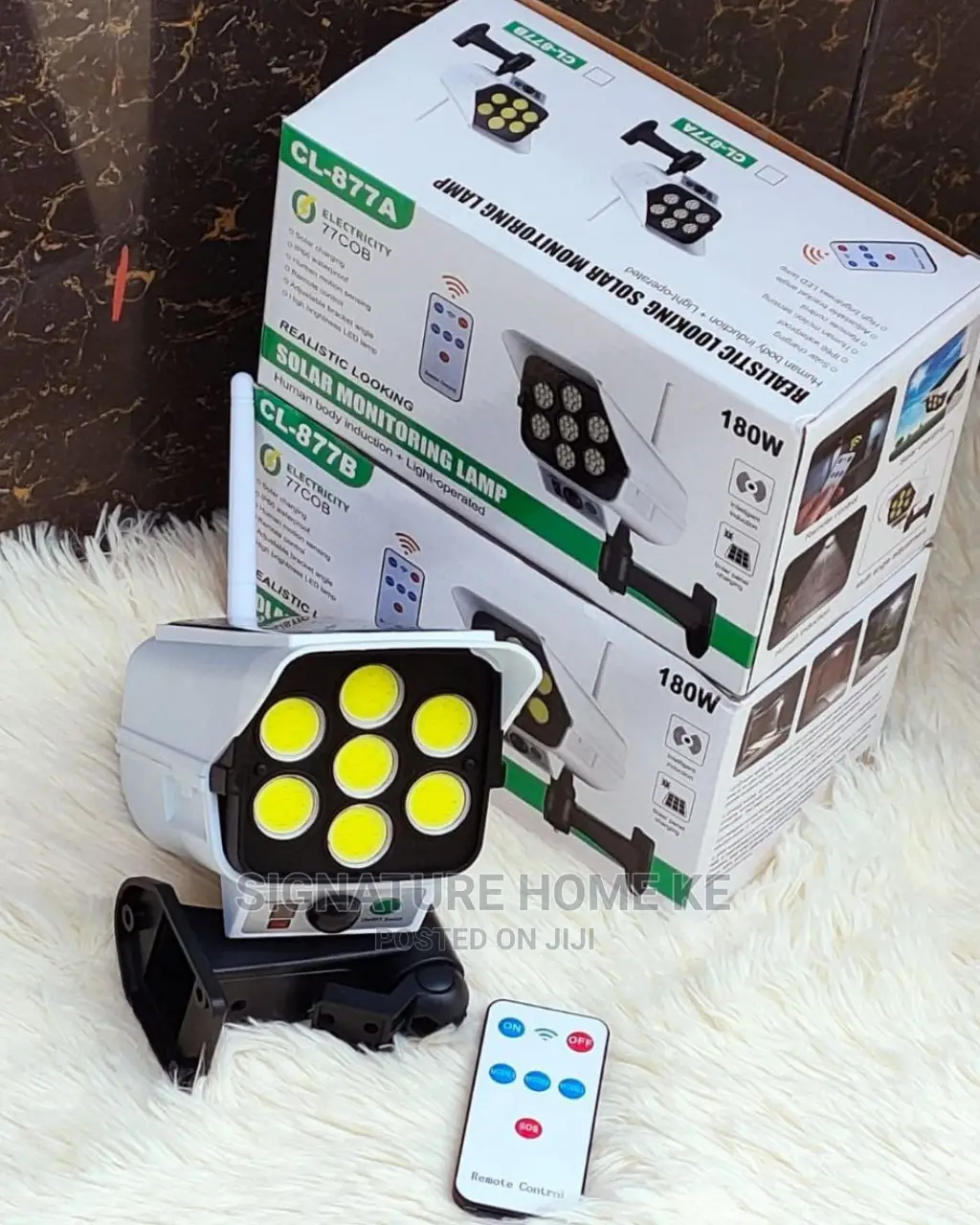 Solar Motion Sensor Light