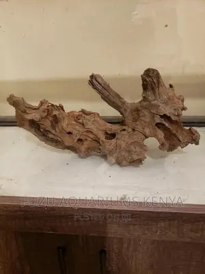Aquarium Driftwood .
