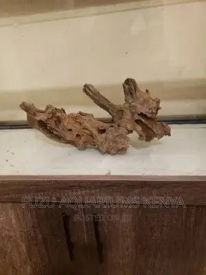 Aquarium Driftwood .