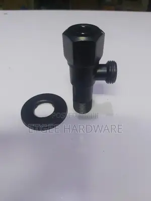 Black Angle Valve