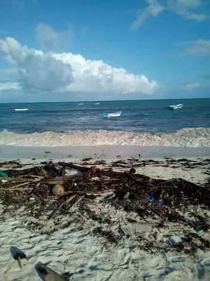 Watamu Malindi,8 Acres White Sandy Beach on Sale.