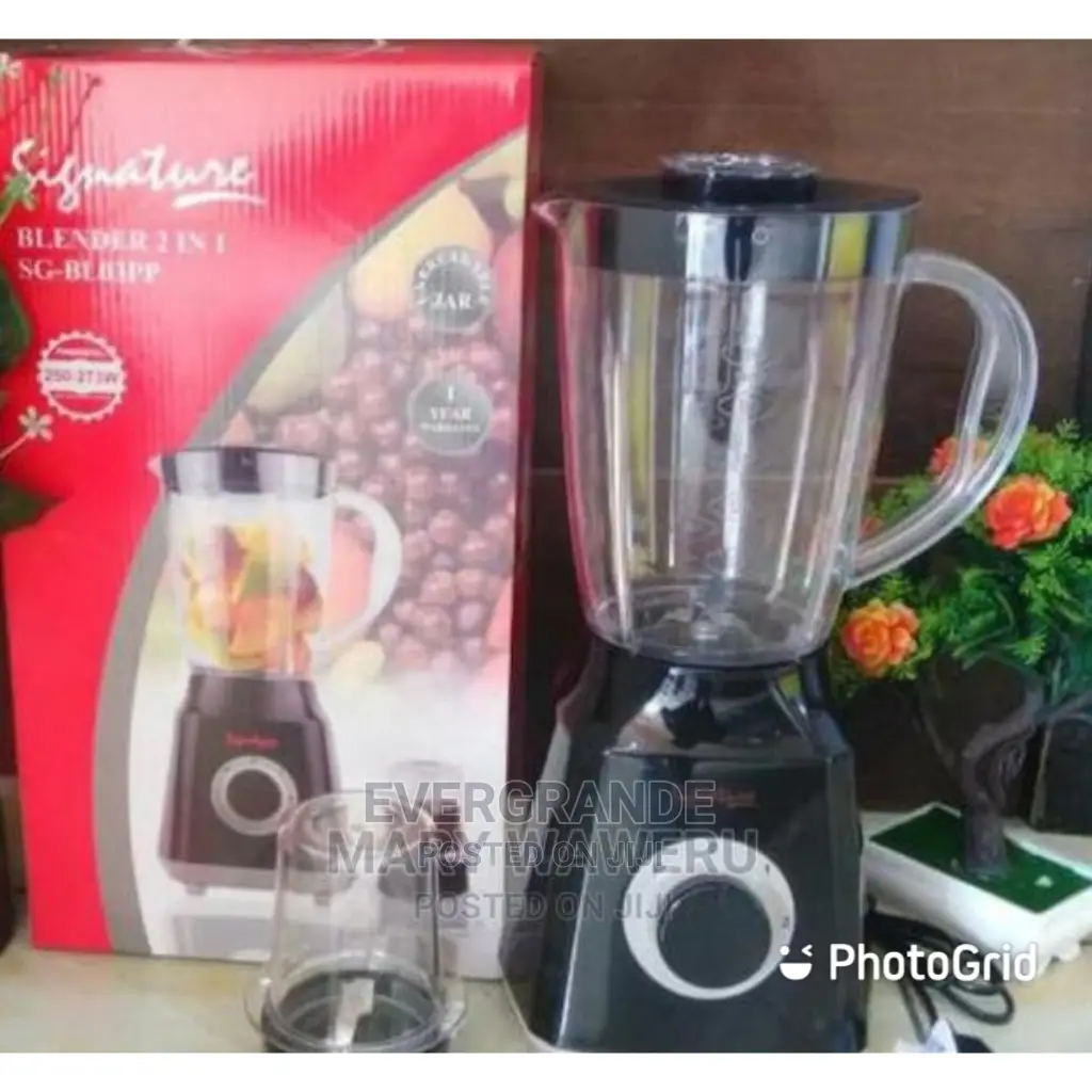 2 in 1 Signature Blender