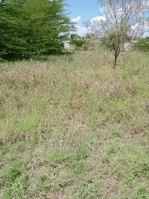 Olkalau 1acre Olojololok , 2.5km From Tarmac