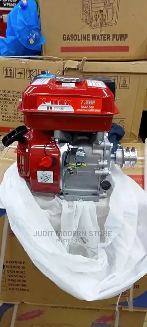 Low Consumption Petrol Engine