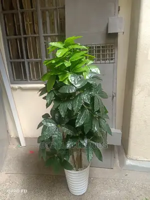 Artificial Decorative Plant