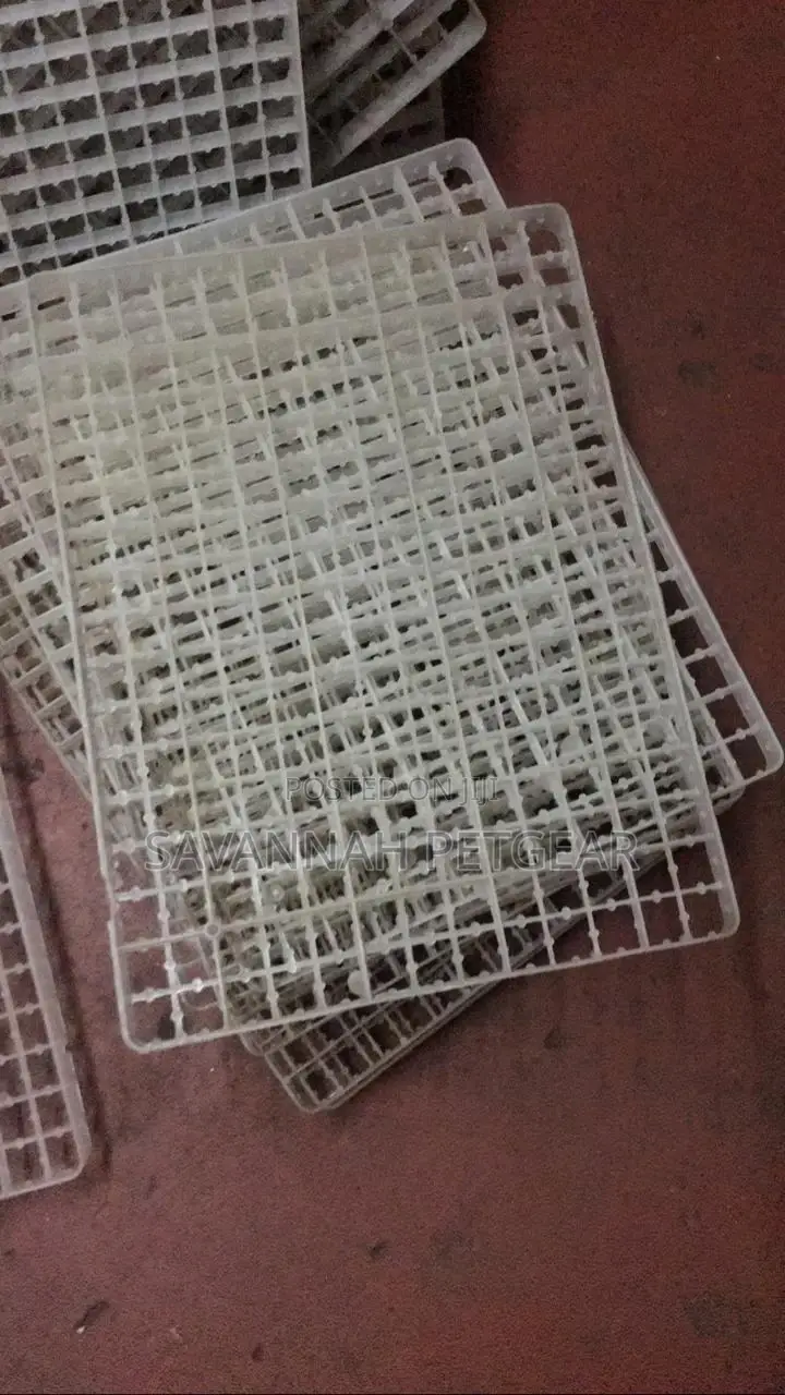221 Quail Eggs Incubator Setter Trays