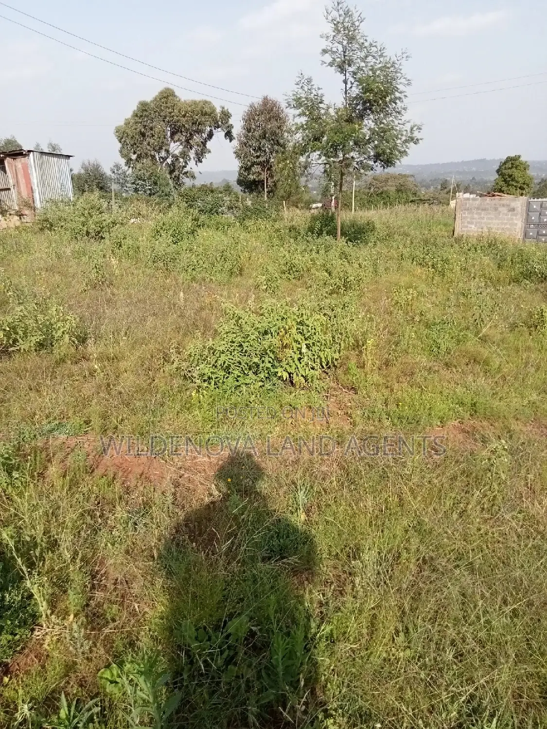 50*100 Plot on Sale at Kamangu Kiambu