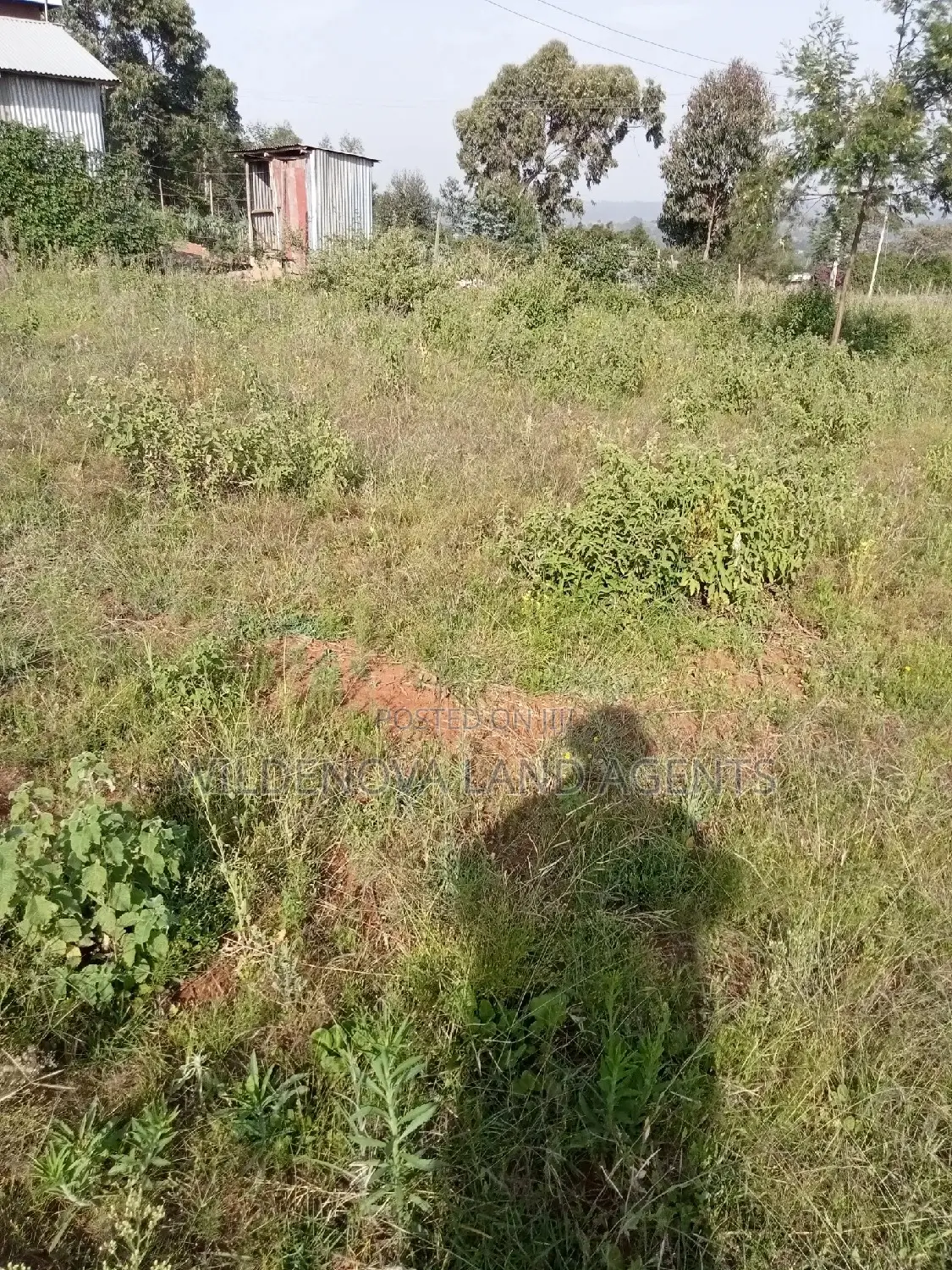 50*100 Plot on Sale at Kamangu Kiambu