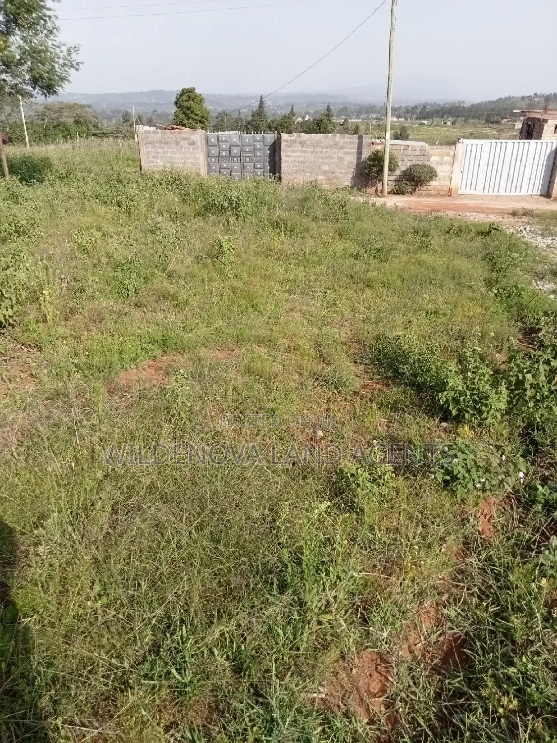 50*100 Plot on Sale at Kamangu Kiambu