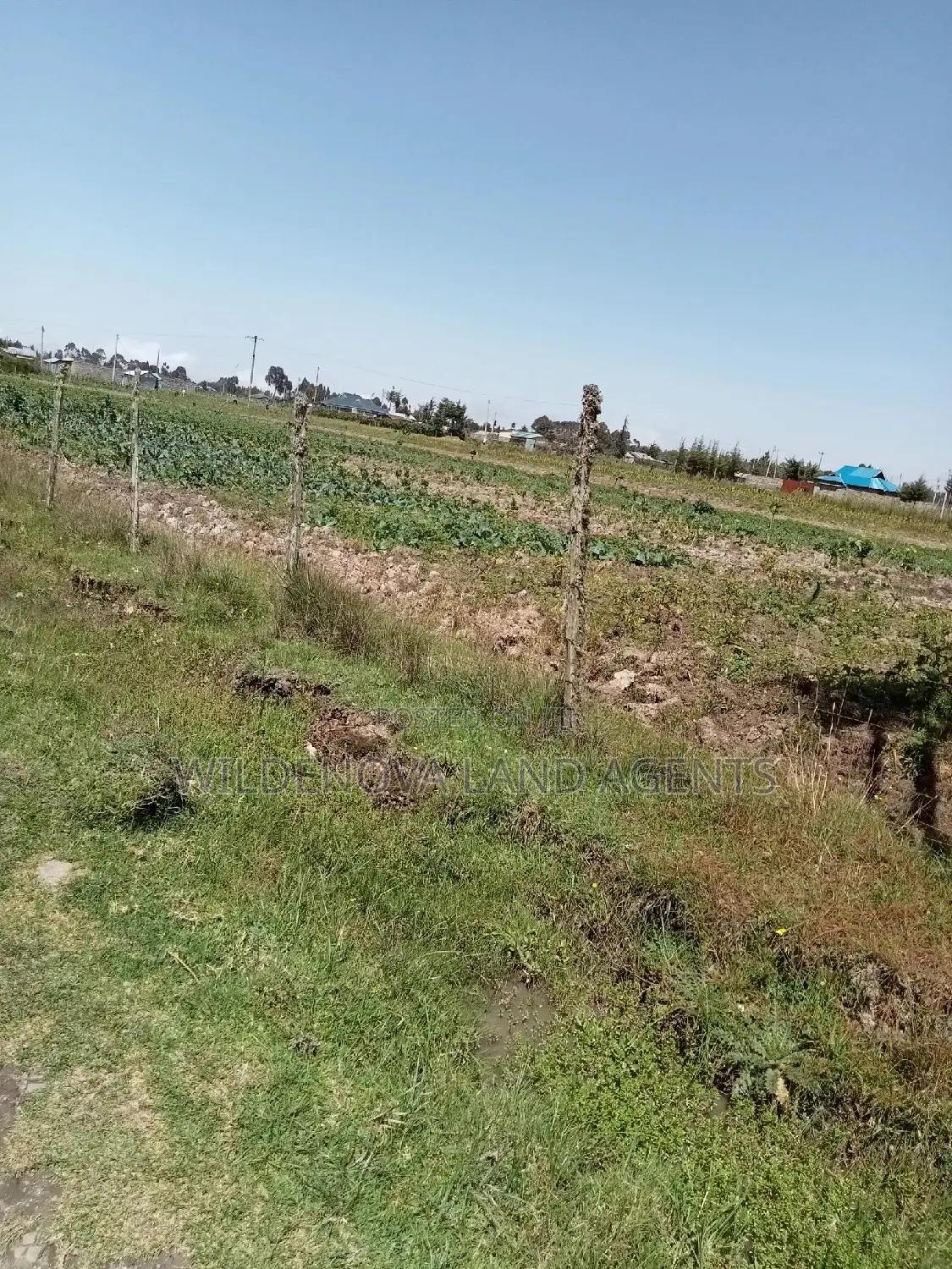 2 Acre Land on Sale at Magumu Kinangop
