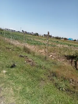 2 Acre Land on Sale at Magumu Kinangop