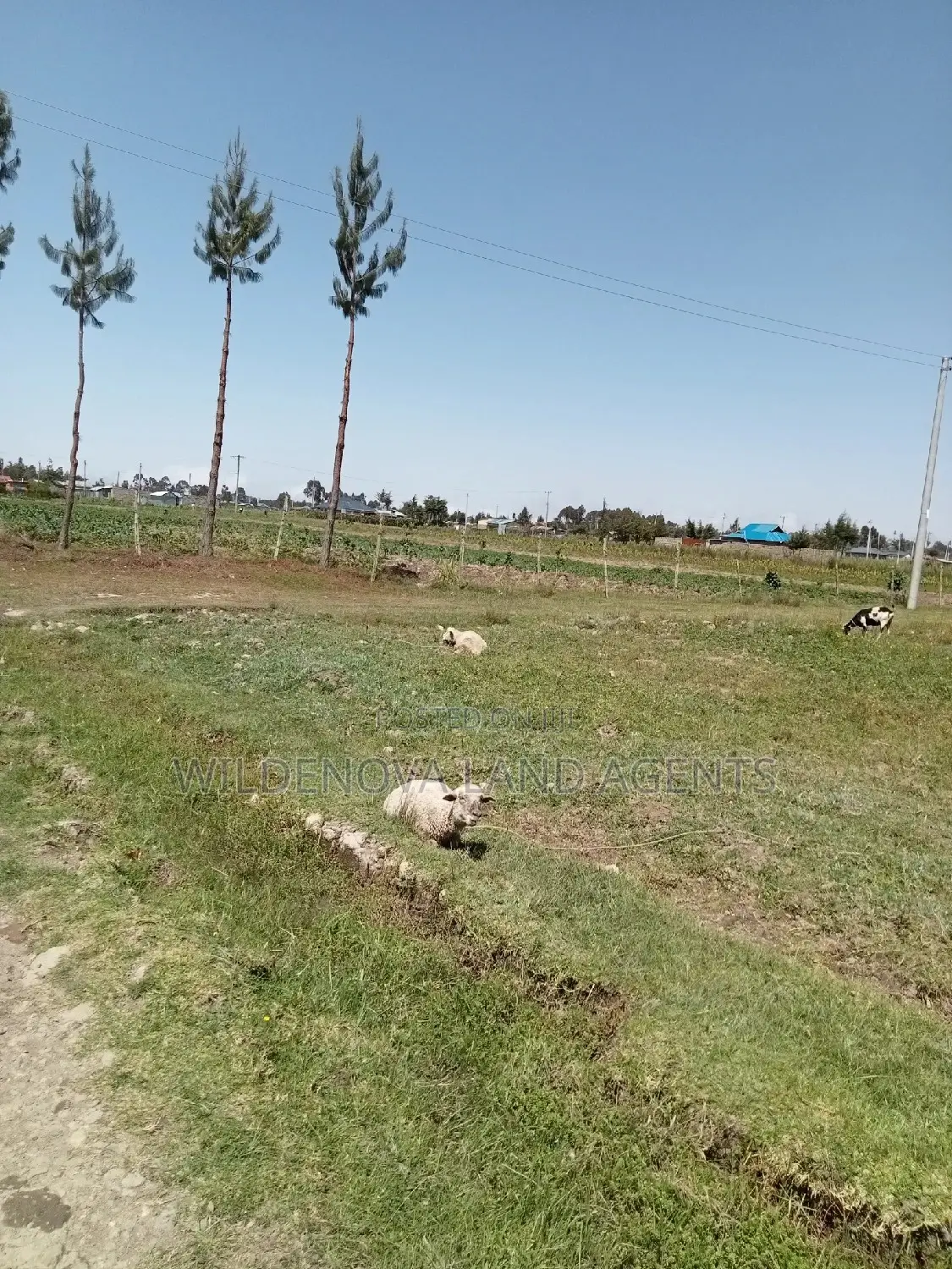 2 Acre Land on Sale at Magumu Kinangop