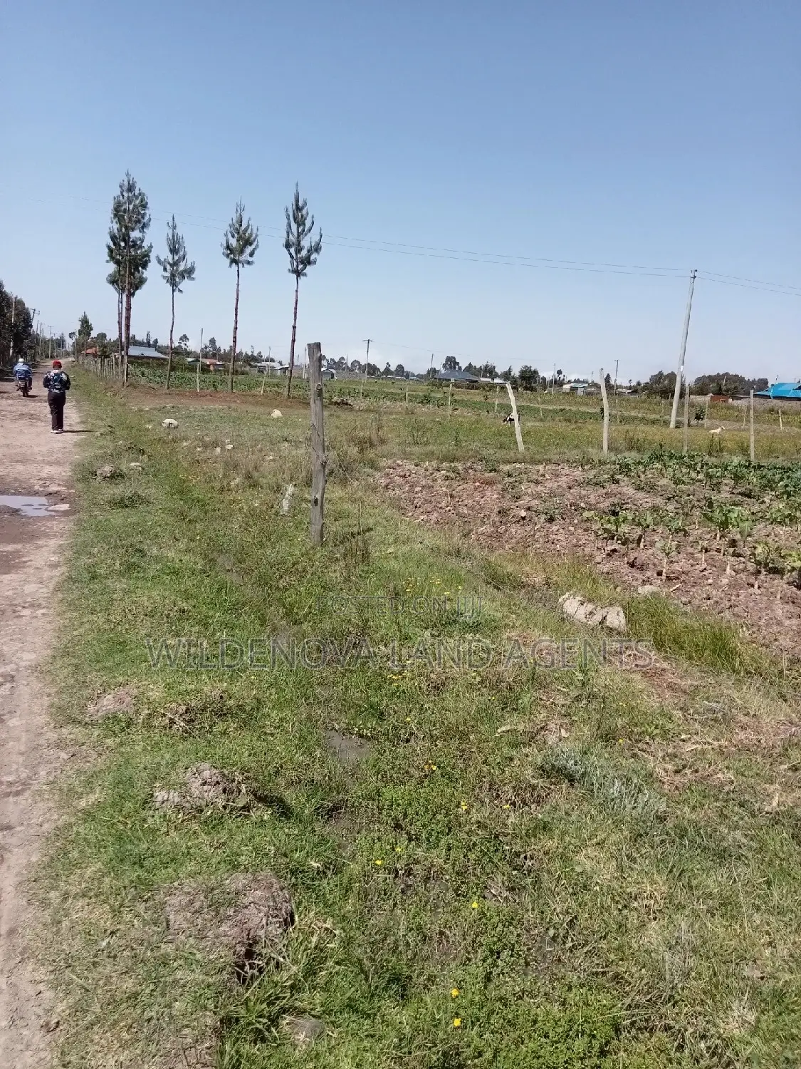 2 Acre Land on Sale at Magumu Kinangop