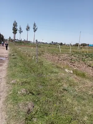 2 Acre Land on Sale at Magumu Kinangop