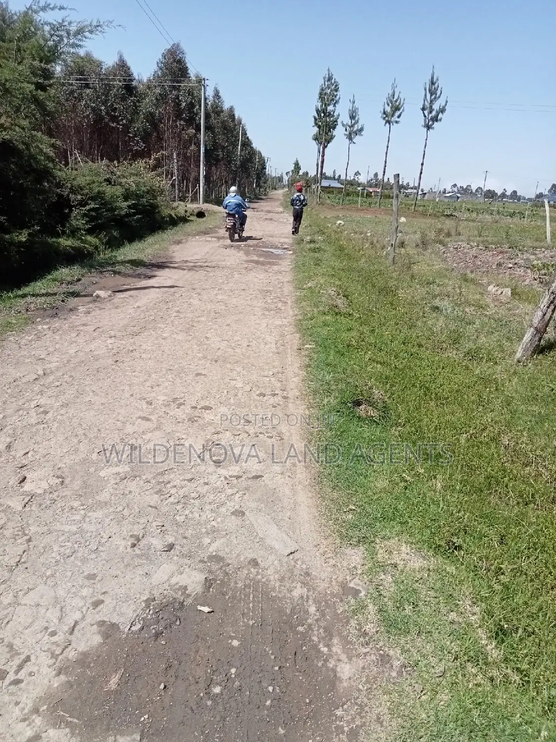 2 Acre Land on Sale at Magumu Kinangop