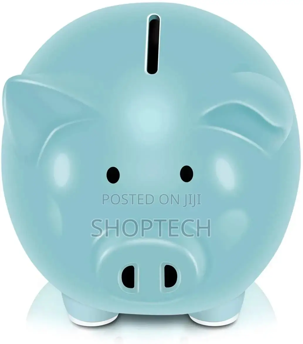 Piggy Bank Brand New