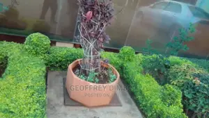 Indoor Plant Care Gardener