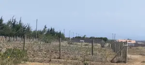 Narumoru/Nanyuki Highway 0.063 Ha