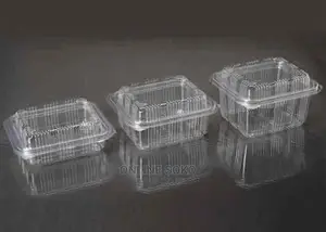 Disposable Take Away Food Containers-Punnets Deli Tubs