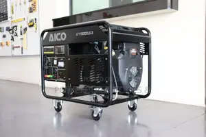 Petrol 3phase Generator (Lt11000cle-3)
