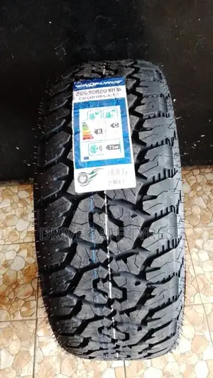 265/50 R 20 Windforce Tyre (China)